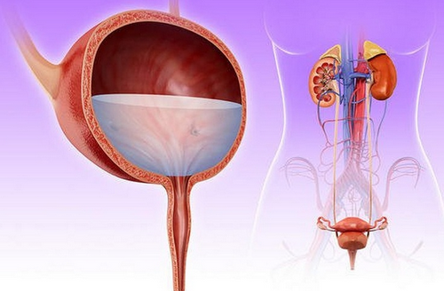 Tiểu không ra nước tiểu là bị làm sao? Cách cải thiện hiệu quả